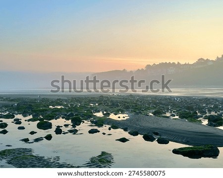 Haystack Rock Cannon Beach Oregon Full Moon Misty Dawn Driftwood Sandy Beach Tidal Stream