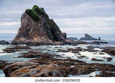 Haystack rock formations with tide pools on an ocean beach.