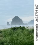 Haystack rock in light fog