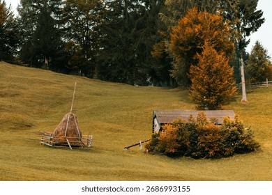 Haystack and rustic cabin nestled in grassy field, surrounded by autumn foliage and forest edge.