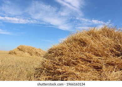 A haystack or straw for feeding herbivores against a blue sky. Mown dry straw (hay) in a stack in a farmer's field against the sky in sunny weather. A big pile of straw in a field. Straw bales.