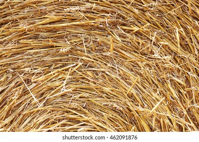 The haystack texture background in the sunlight