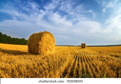 Haystacks In Autumn Field, Rural, Russia, Ural, September