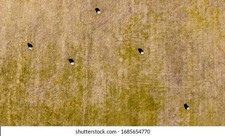 haystacks making pattern of constellation