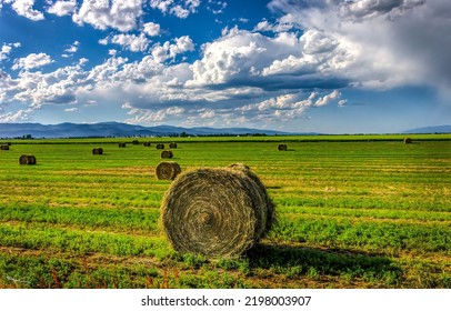 Haystacks on an agricultural field. Agriculture farm field with haystacks. Haystack in field. Farmland field haystacks - Shutterstock ID 2198003907