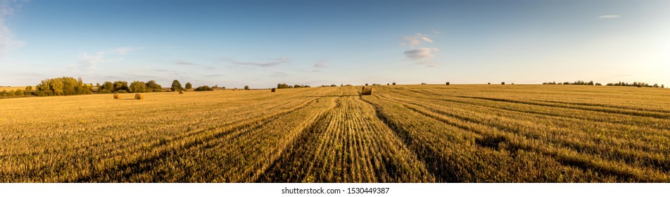 Haystacks on the field in autumn sunny day with clouhy sky. Rural landscape. Golden harvest of wheat in evening. Panorama.