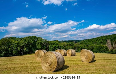 Haystacks on the harvesting field. Haystack in field. Agriculture field haystacks. Haystacks