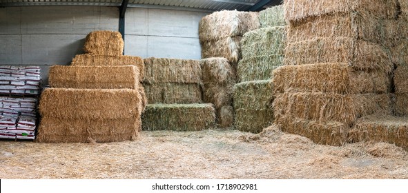 Haystacks sorted inside an agricultural modern warehouse in Extremadura at the Spanish countryside. A rural area with great farmlands and an agricultural industry based living