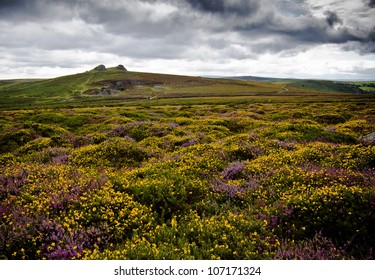 Haytor, Dartmoor