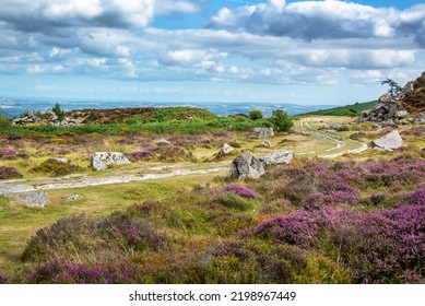 Haytor Granite Tramway Old Tracks In Dartmoor, Devon, UK