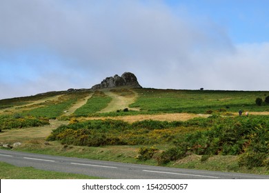 Haytor Rocks In The Distance In Dartmoor Park