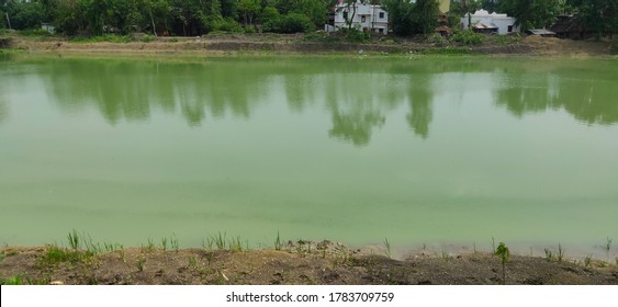 Hazardous Algae And Plankton Growth Cause The Water Source Stagnant And Polluted And Unusable