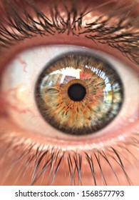 Hazel Colored Big Human Eye