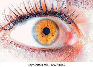hazel eye macro