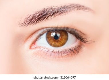 Hazel Eyes Isolated