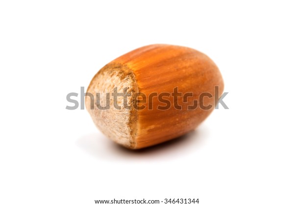 Hazel Nuts Shell On White Background Stock Photo 346431344 | Shutterstock