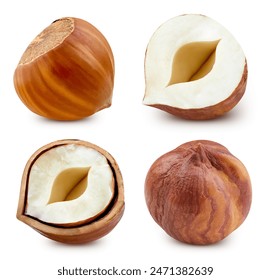 Hazelnut collection. Hazelnut set isolated on white background. With clipping path