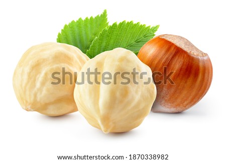 Hazelnut. Hazelnuts with leaf isolate. Hazelnut with leaves on white. Forest nut. Filbert side view. Full depth of field.