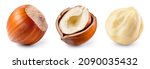 Hazelnut isolated. Hazel set on white background. Hazelnut in broken shell, white nut, whole nut. Collection. Full depth of field.