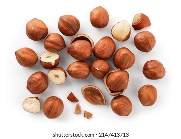 Hazelnut Isolated. Hazelnuts On White Background. Hazelnut Background Top View. Full Depth Of Field.