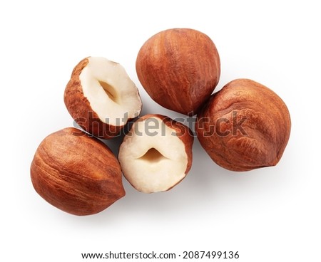 Hazelnut isolated. Hazelnuts on white background. Hazel top view. With clipping path. Full depth of field. Perfect not AI hazelnut, true photo.