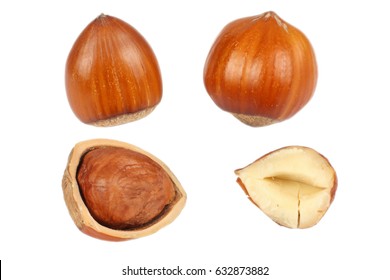 Hazelnut Isolated On White Background