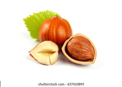 Hazelnut Isolated On White Background