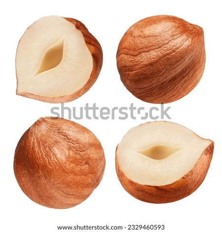 Hazelnut isolated on white background