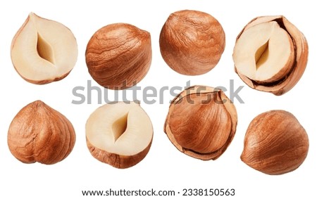 Hazelnut isolated on white background, collection