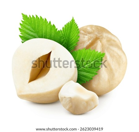 Hazelnut with leaves. Hazelnut kernel and leaves isolated on white background. Hazelnut macro. With clipping path