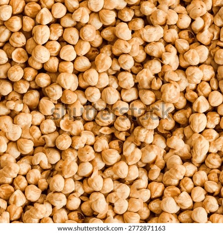 Hazelnut Seamless Tileable Texture 4K
