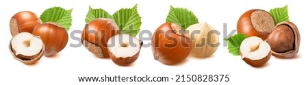 Hazelnut set isolated on white background. Nuts with and without nutshell. Package design element with clipping path