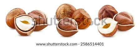 Hazelnut set. Hazelnut isolated on white background. Hazelnut with clipping path