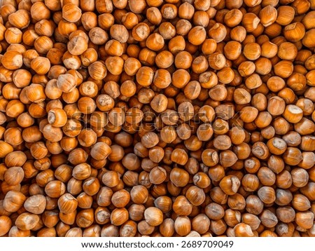 Hazelnuts arranged as a full-size background, backgrounds with textures of hazelnuts in their shells