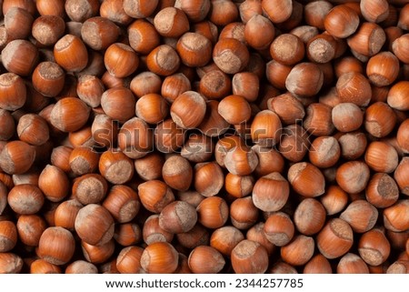 Hazelnuts as background. Nuts in shell. Top view.