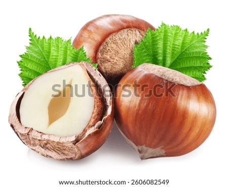 Hazelnuts or filberts, split of hazelnut kernel and green leaves on white background. Clipping path.