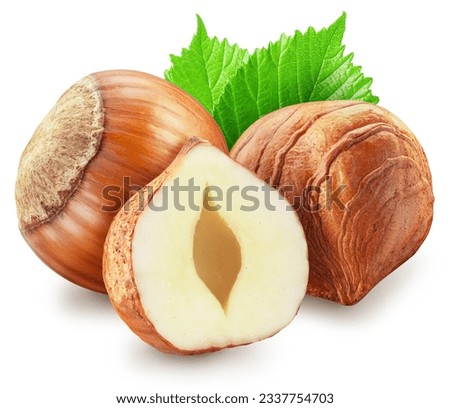 Hazelnuts, hazelnut kernel and green leaves on white background. Clipping path.