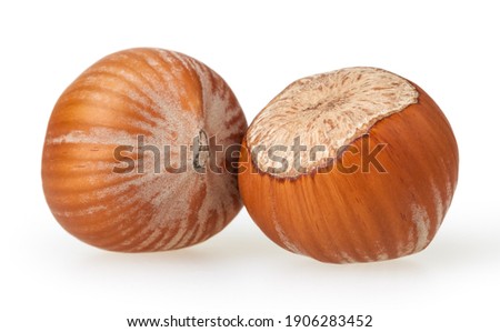 Hazelnuts isolated on white background with clipping path