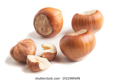 Hazelnuts isolated on white backgrounds. - Shutterstock ID 1921989698