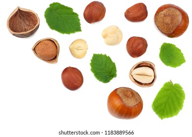 hazelnuts with leaves isolated on white background. top view - Shutterstock ID 1183889566