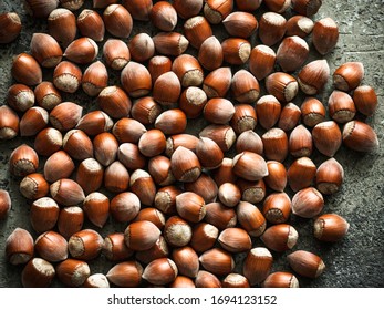 Hazelnuts on a gray background. Space for text