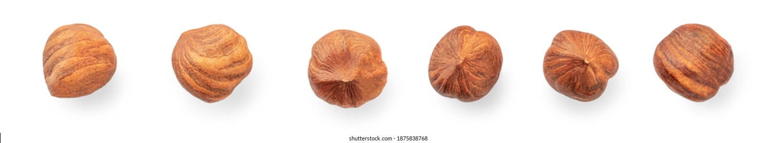 Hazelnuts In A Row  Isolated On White Background. Hazelnut Pattern. Top View. Flat Lay
