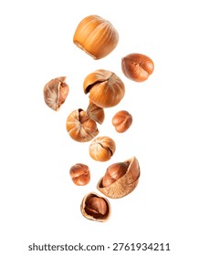 Hazelnuts with shells and kernels close-up flying in the air isolated on a transparent background