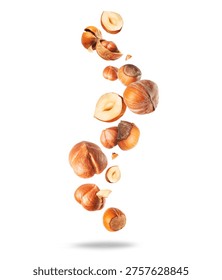 Hazelnuts with shells and kernels close-up isolated on a white background