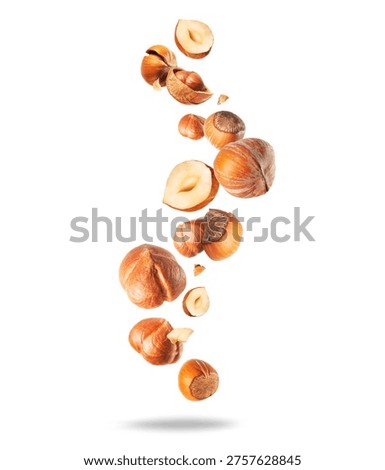 Hazelnuts with shells and kernels close-up isolated on a white background