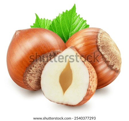 Hazelnuts, split of hazelnut kernel and green leaves on white background. Clipping path.