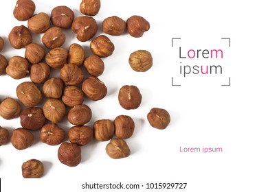 Hazelnuts and text Lorem ipsum on isolated white background