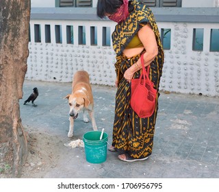 Hazra, Kolkata, 04/09/2020: A middle aged woman (housewife) covering her face, feeding a street dog during coronavirus lockdown. A plastic bucket containing dog food is seen near the dog.