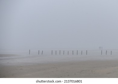 Hazy Beach Landscape With Bashful Stakes