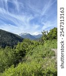 Hazy cascade mountains on a bluebird daying hiking yellow aster butte trail in Washington State